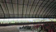 窗户外的景色描述已自动生成