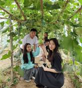 男人和女人在树下低可信度描述已自动生成