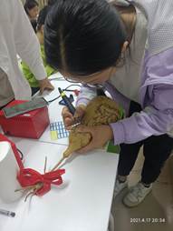 38123c9c2e6846cac03f2b0b0c228de