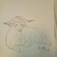 7c79d720dda1f15382d6a7263f8a505