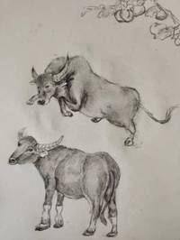 一群狗站在地上描述已自动生成