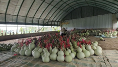 图片包含 室内, 桌子, 建筑, 窗户描述已自动生成